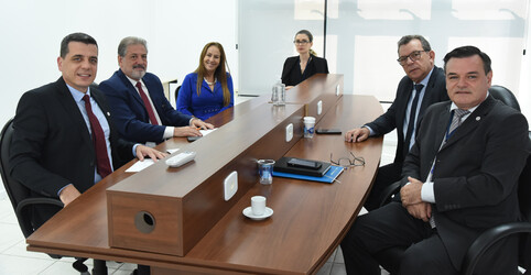 Reunião Presencial Comissões CRCSC