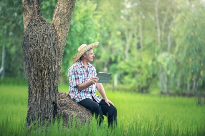 O livro caixa digital do produtor rural e a declaração do IRPF