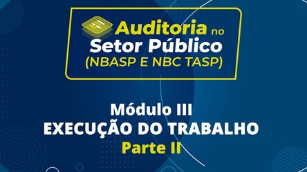 Entenda o Relatório de Trabalho em curso de auditoria voltada para o setor público